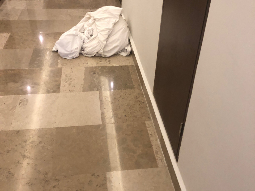 比亚埃尔莫萨凯悦丽晶酒店主图