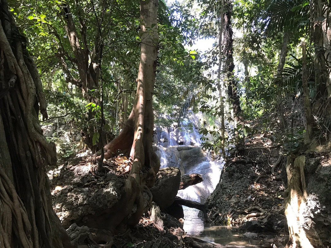 Oenesu Waterfall景点图片