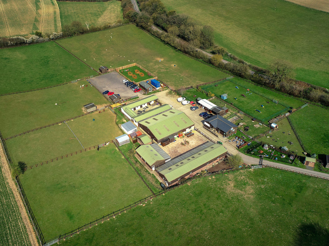 National Animal Welfare Trust Berkshire-Great Shefford必去景点