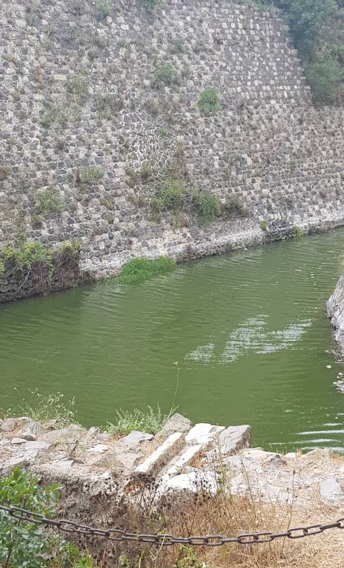 Krak des Chevalier景点图片