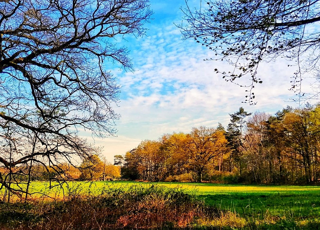 Levenspadwandeling Slangenburg-Doetinchem必去景点