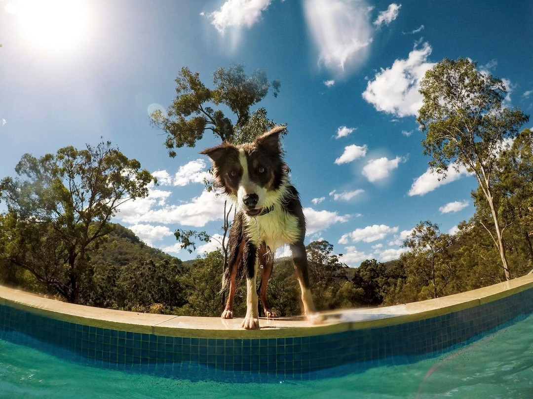 The Courthouse主图