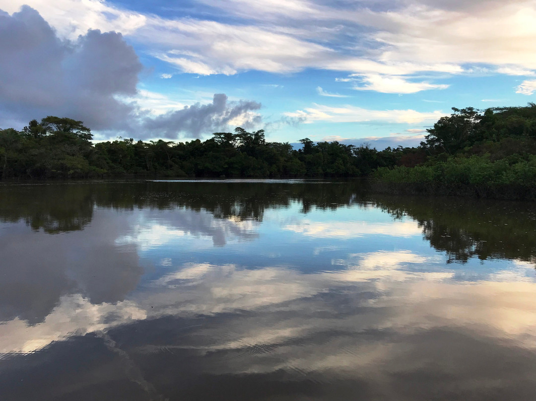 Dawn on the Amazon Tours and Cruises-伊基托斯必去景点