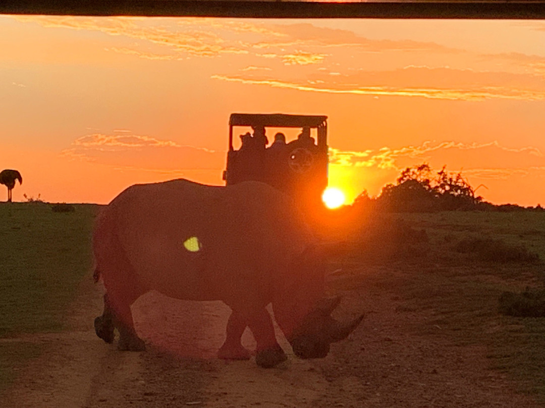 Garden Route Game Lodge Day Safaris景点图片