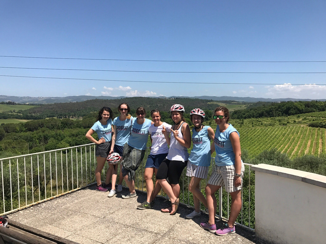 Up and Down the Chianti-锡耶纳必去景点