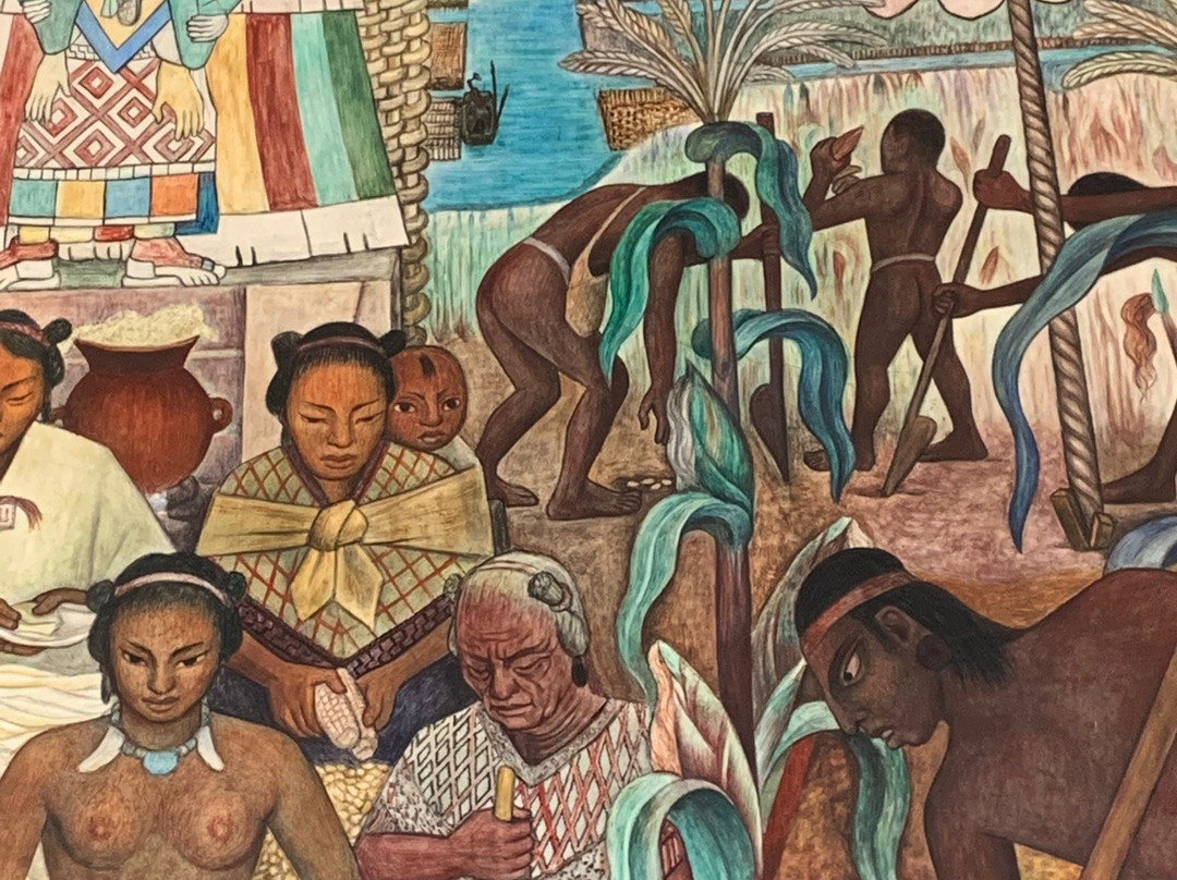 Insolitours-墨西哥城必去景点