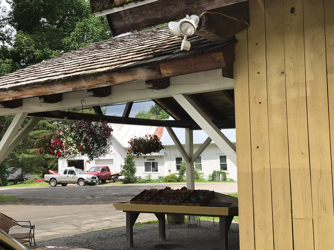 Pete's Greens Craftsbury Farmstand景点图片