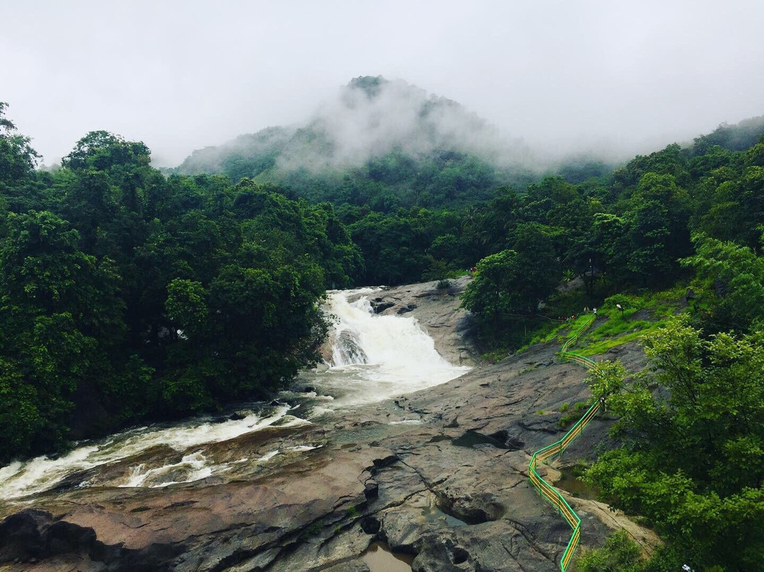 Adyanpara Waterfalls景点图片