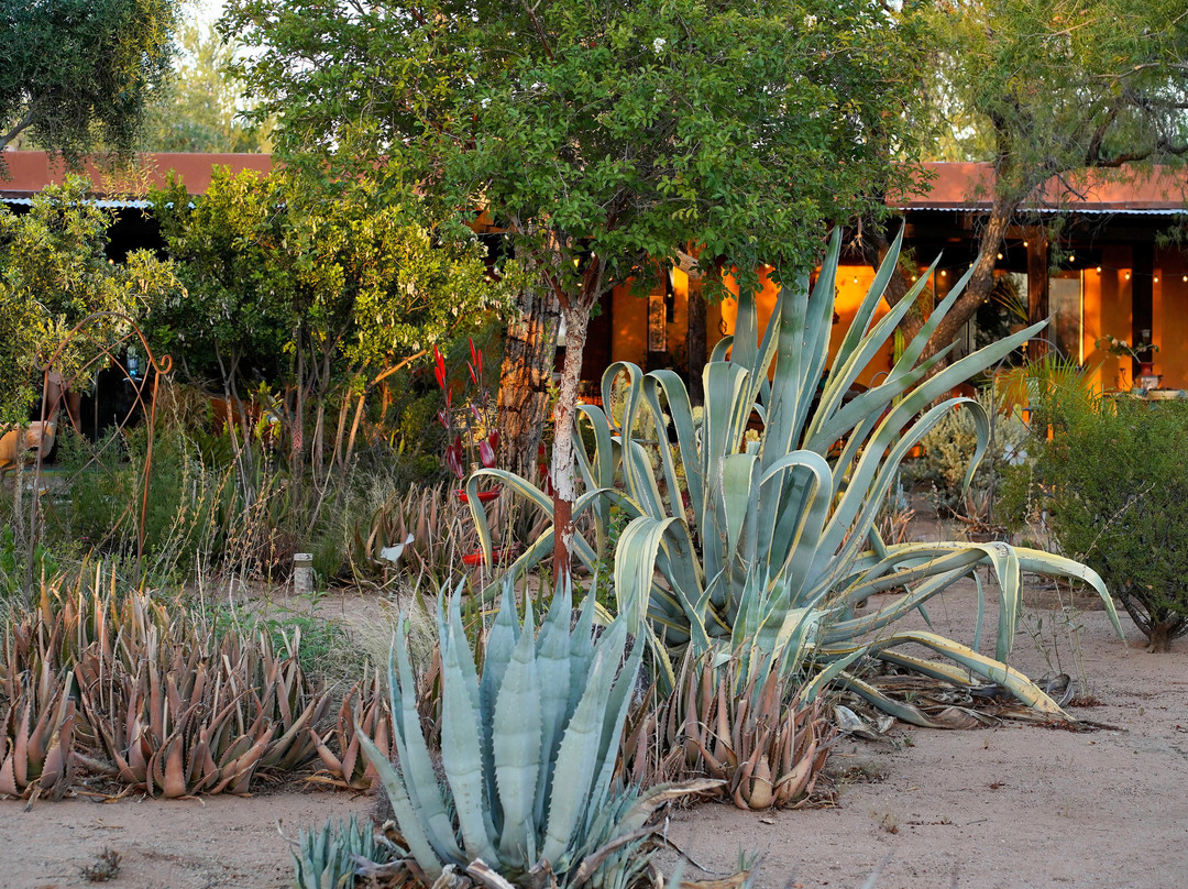 Hacienda Linda Inn and Gallery主图