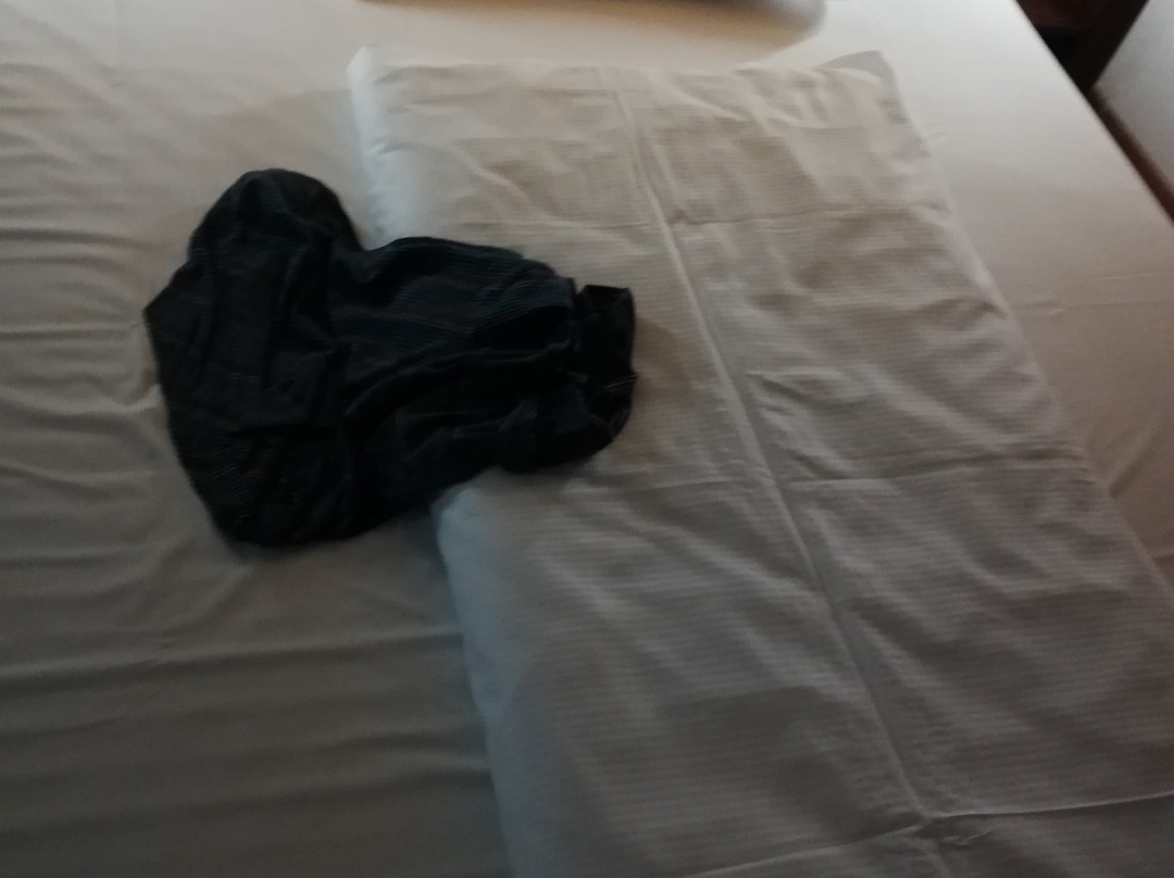 7 Days Premium Hotel Linz-Ansfelden主图