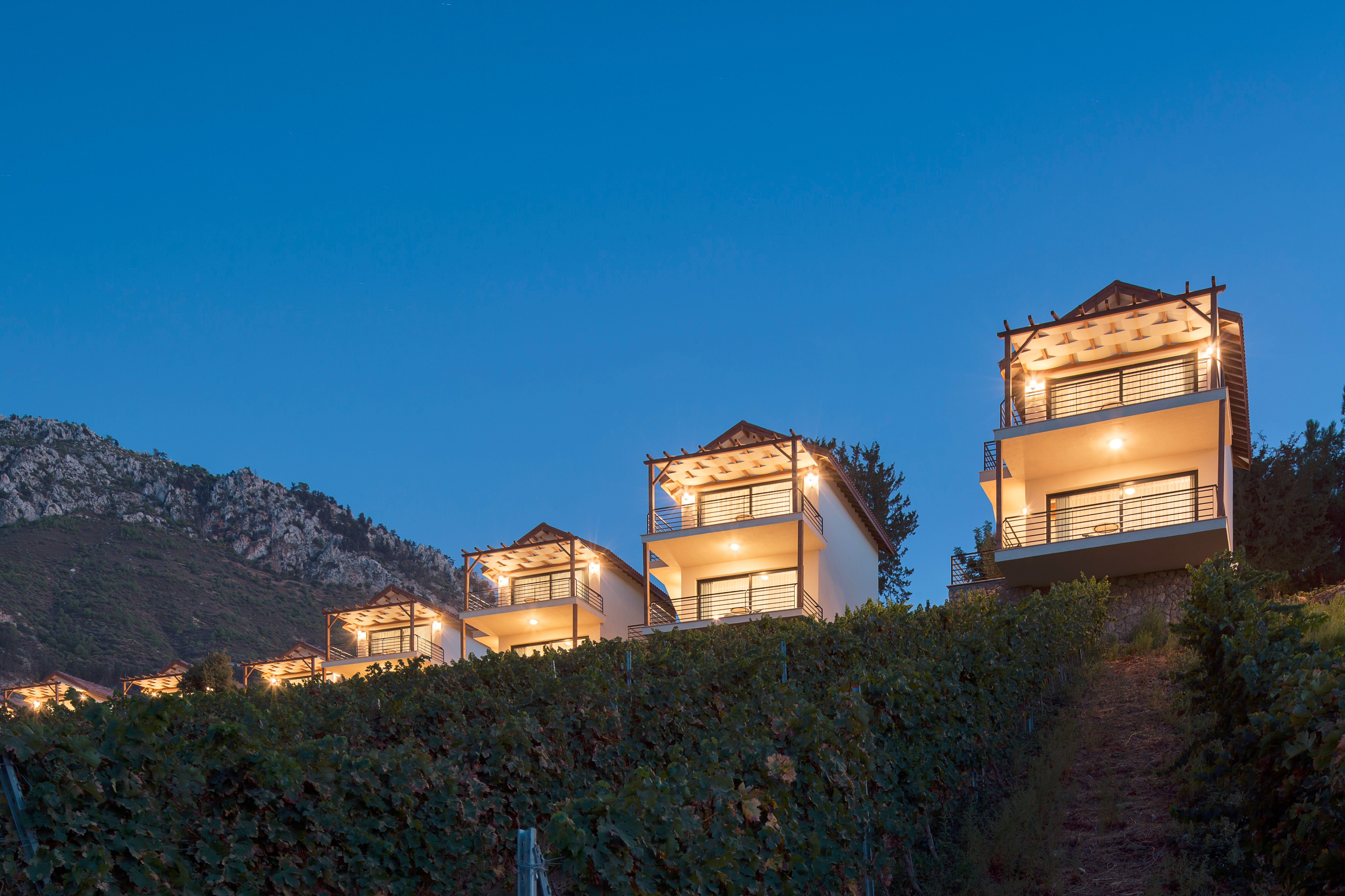 Gillham Vineyard Hotel-官方