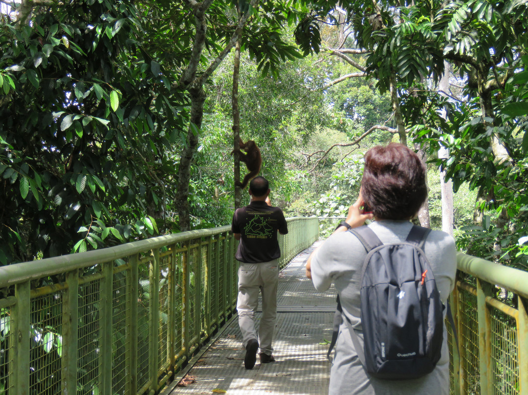 Inno Travel & Tour Services Sdn Bhd @ Sabah Holidays-亚庇必去景点