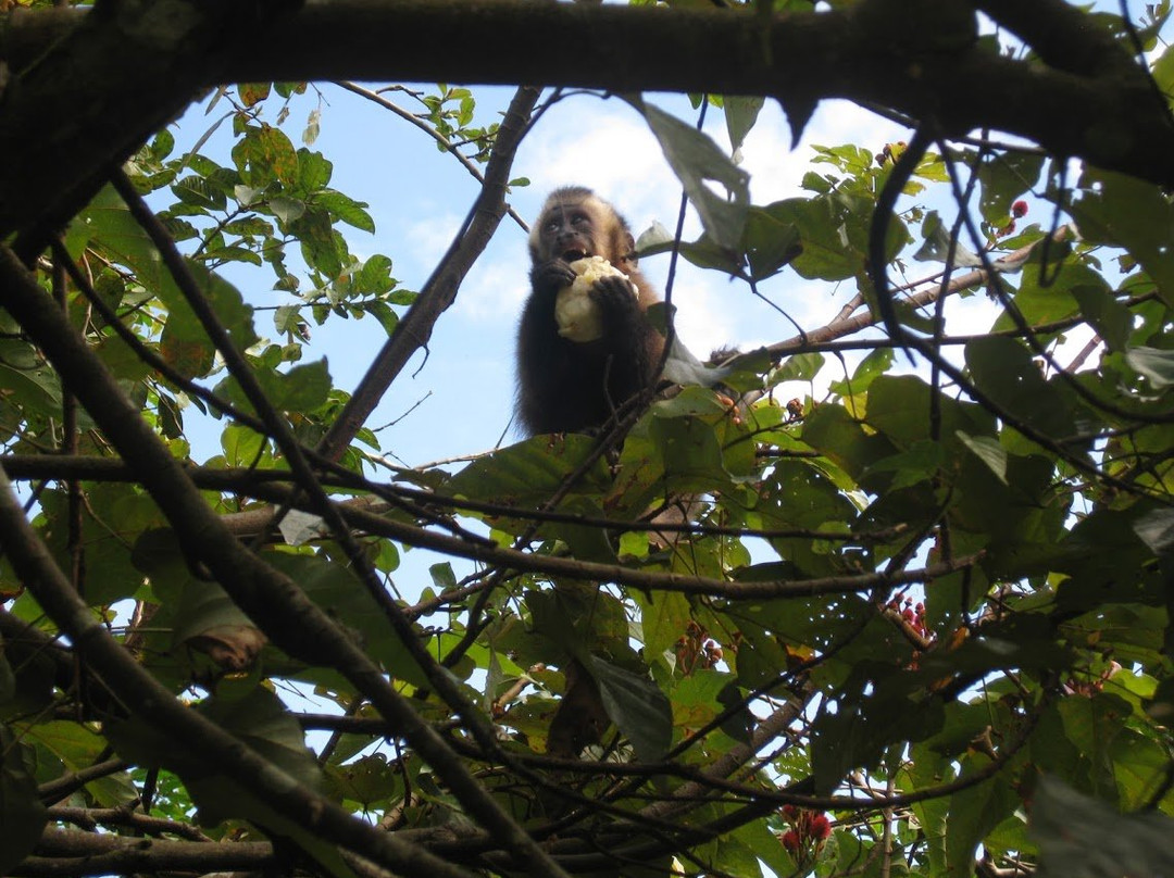 Dos Loritos-Paucartambo必去景点