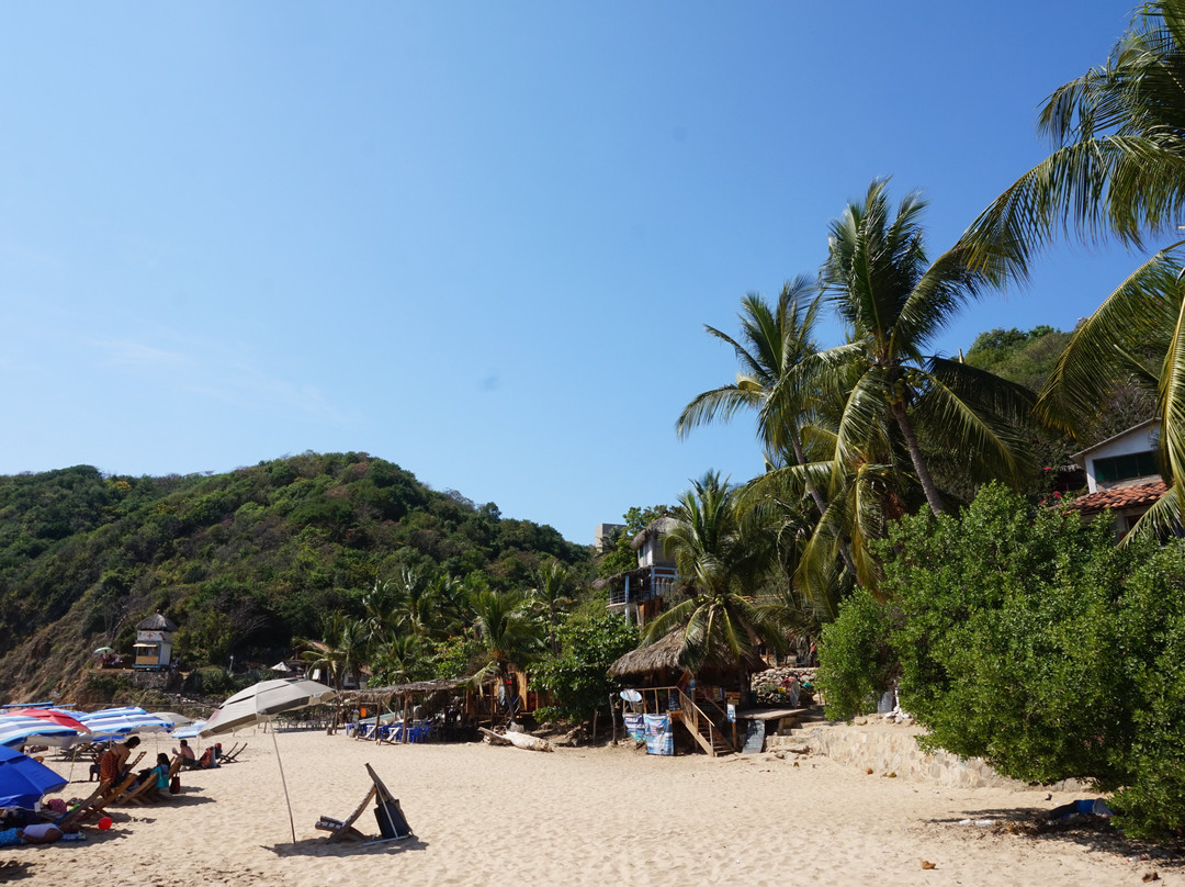 Playa Rinconcito-Mazunte必去景点