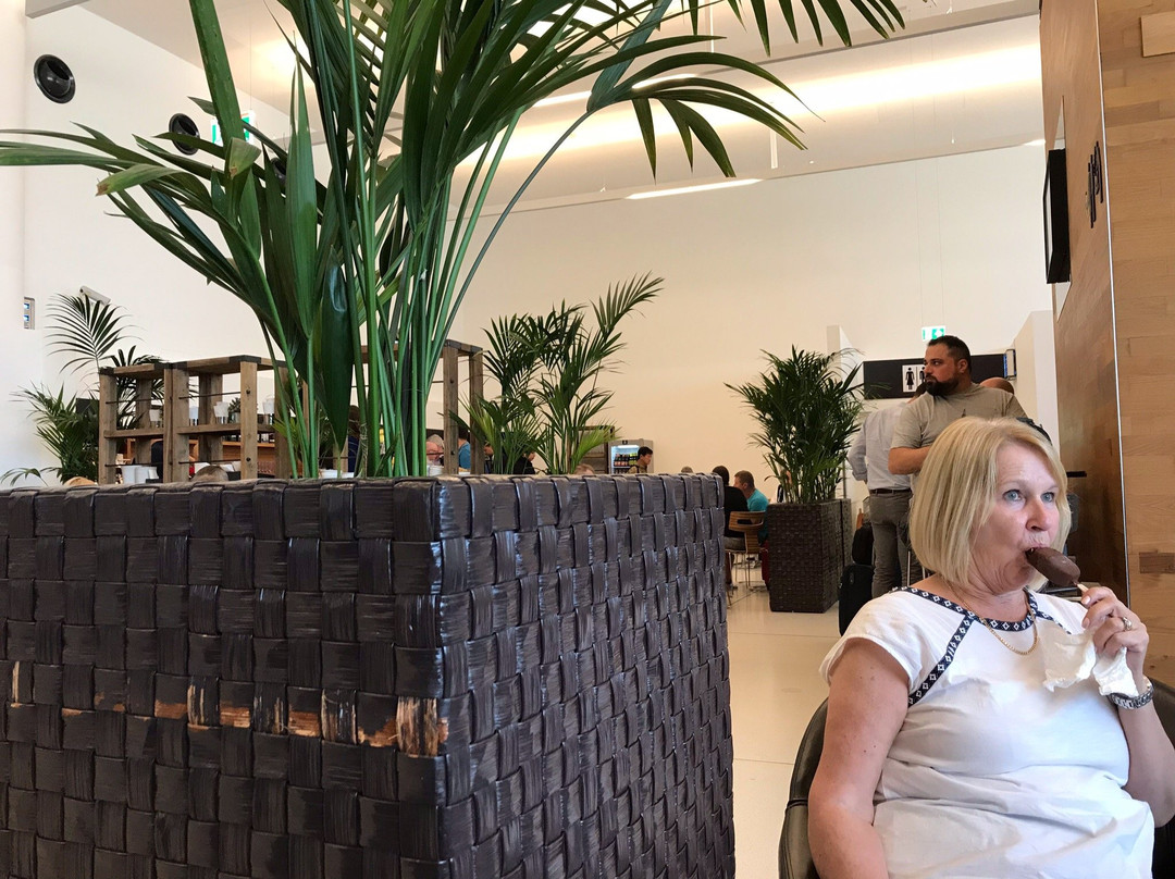 AIR Lounge (Non-Schengen Area flights)-徐威夏特必去景点