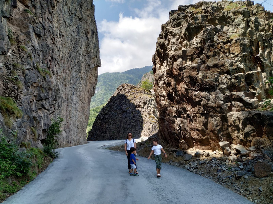 Hatila Vadisi Milli Parki景点图片