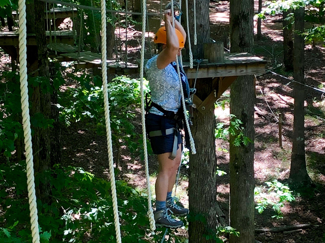 Canopy Challenge Course at Fall Creek Falls State Park景点图片