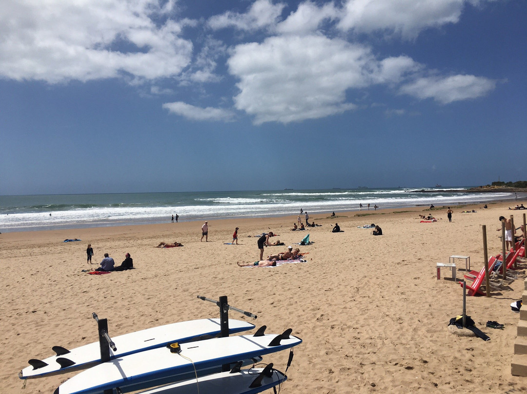 Lisbon Surf Tours景点图片
