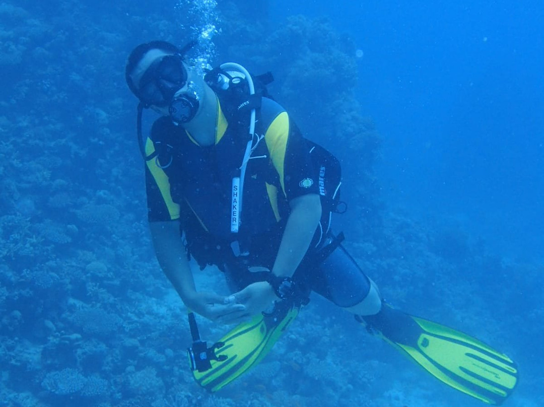 Scuba World Divers - Movenpick Resort Soma Bay景点图片