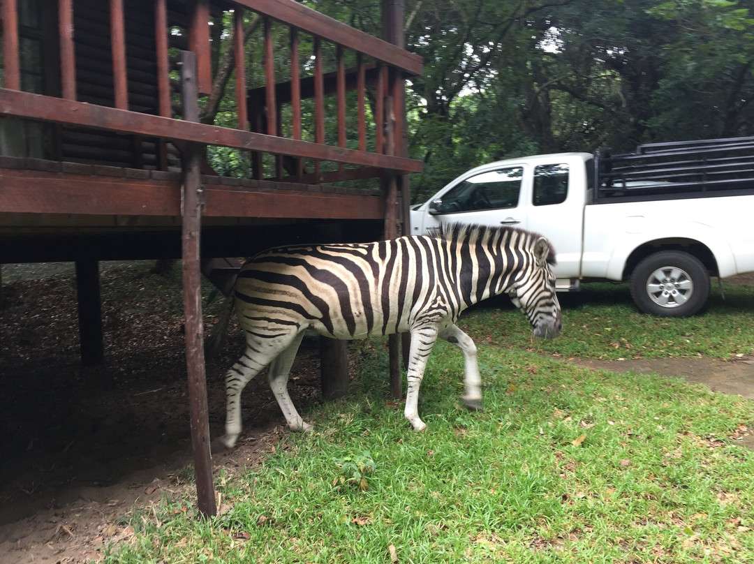 Umlalazi Nature Reserve-马图纪尼必去景点