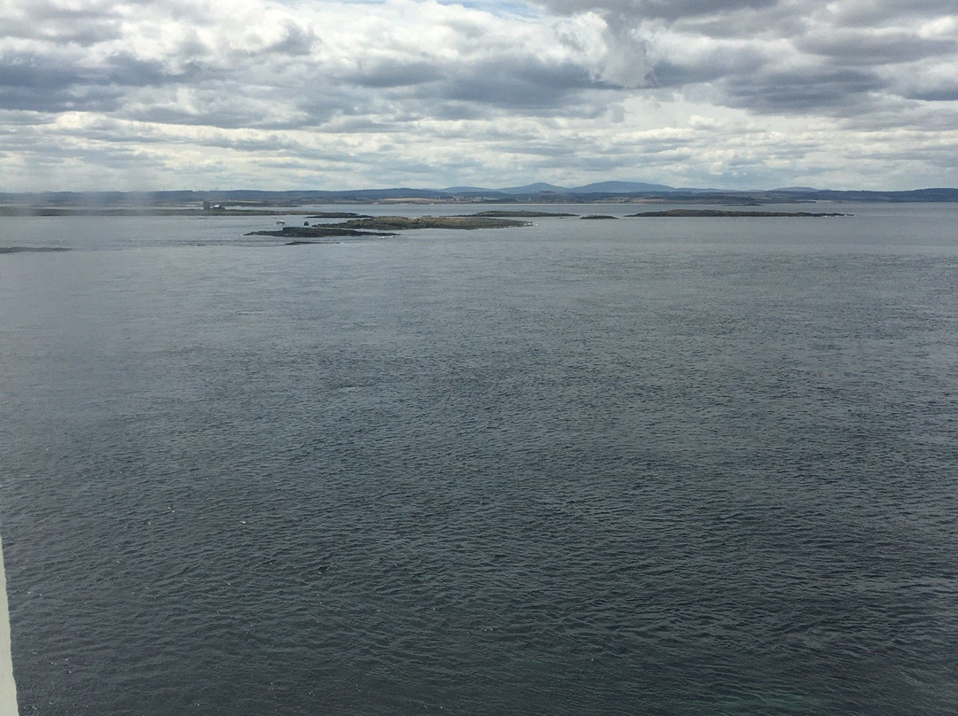 Longstone Lighthouse-Seahouses必去景点