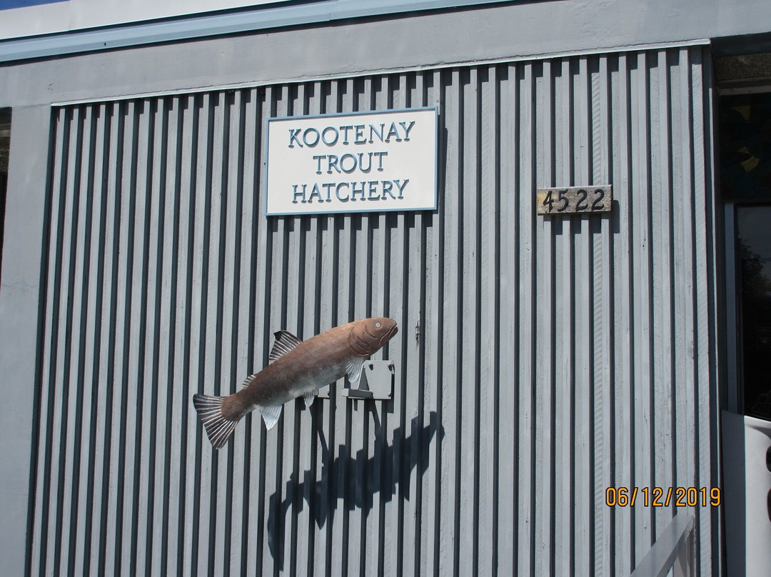Kootenay Trout Hatchery & Visitor Centre景点图片