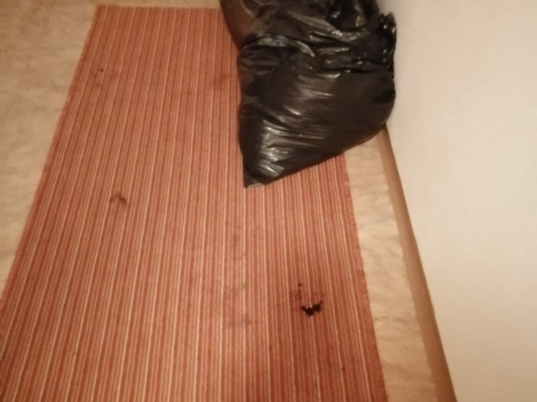 Gasthof Steinbraeu主图