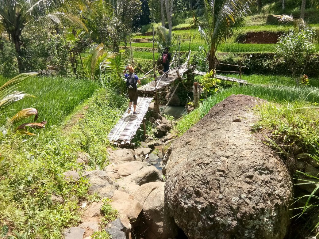 Kedung Kandang Waterfall景点图片