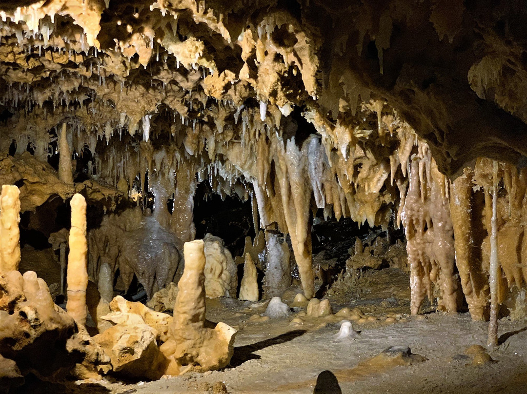 Grotte du Grand Roc景点图片