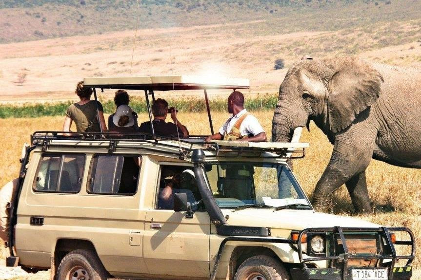 Travel With Brighton-坦噶必去景点