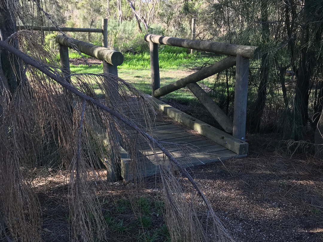 Koo Wee Rup Swamp Lookout Tower-Koo-Wee-Rup必去景点