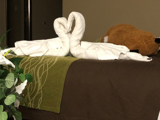 Comfort Inn Edinburg South主图