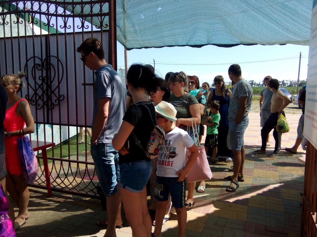 Seven Lakes Aquapark-Gulkevichi必去景点