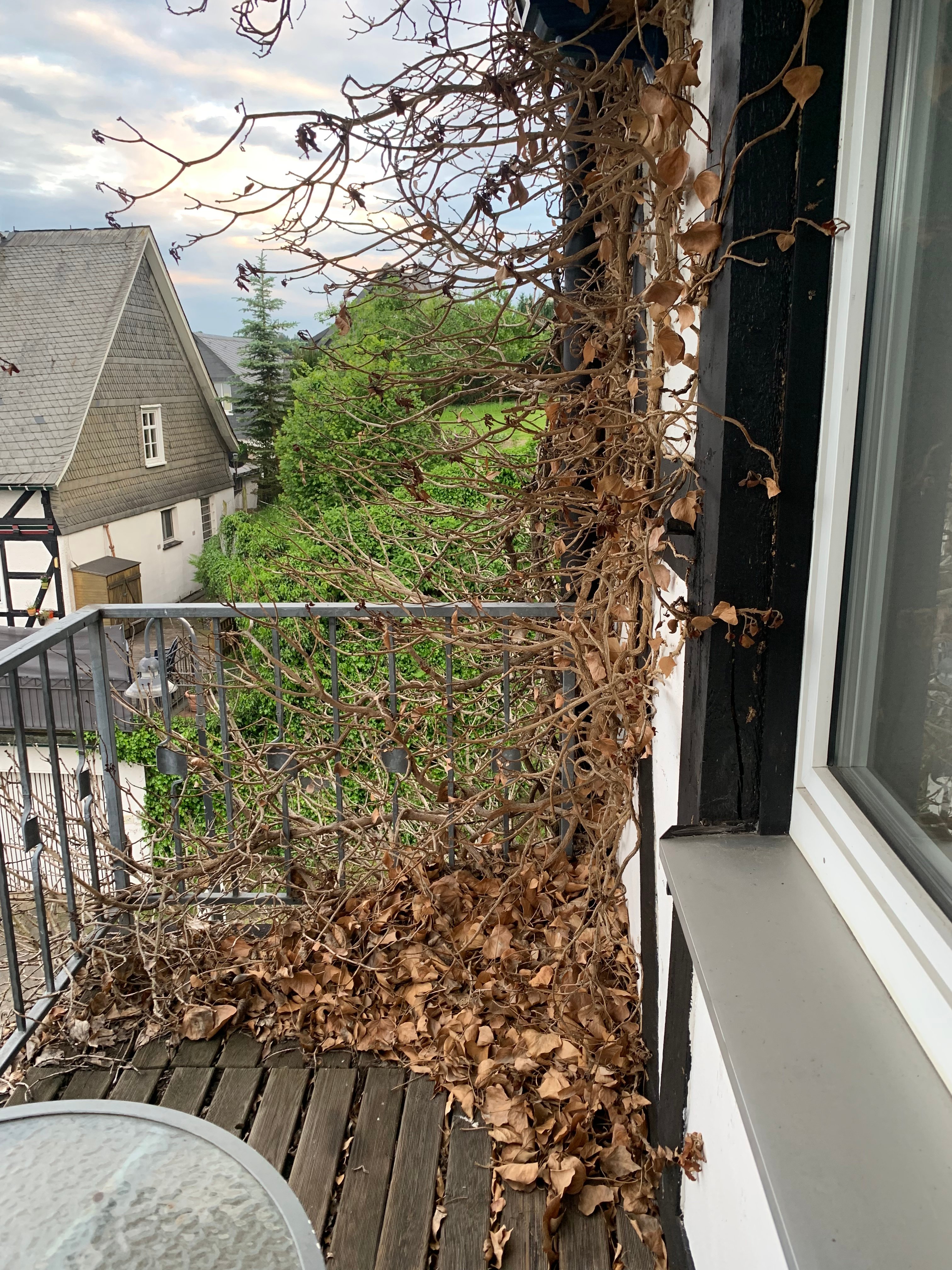 Zur Fredeburg-官方