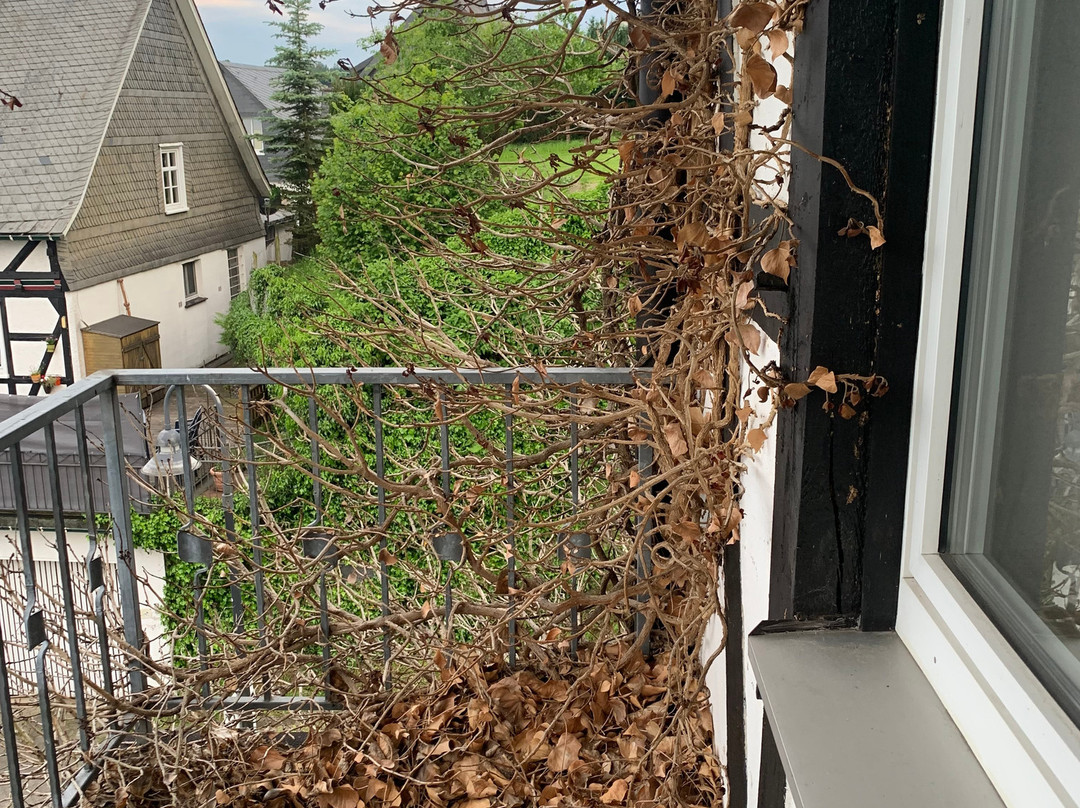 Fredeburg酒店住宿-Zur Fredeburg