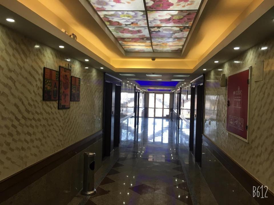 Dolphin Ras EL Bar主图