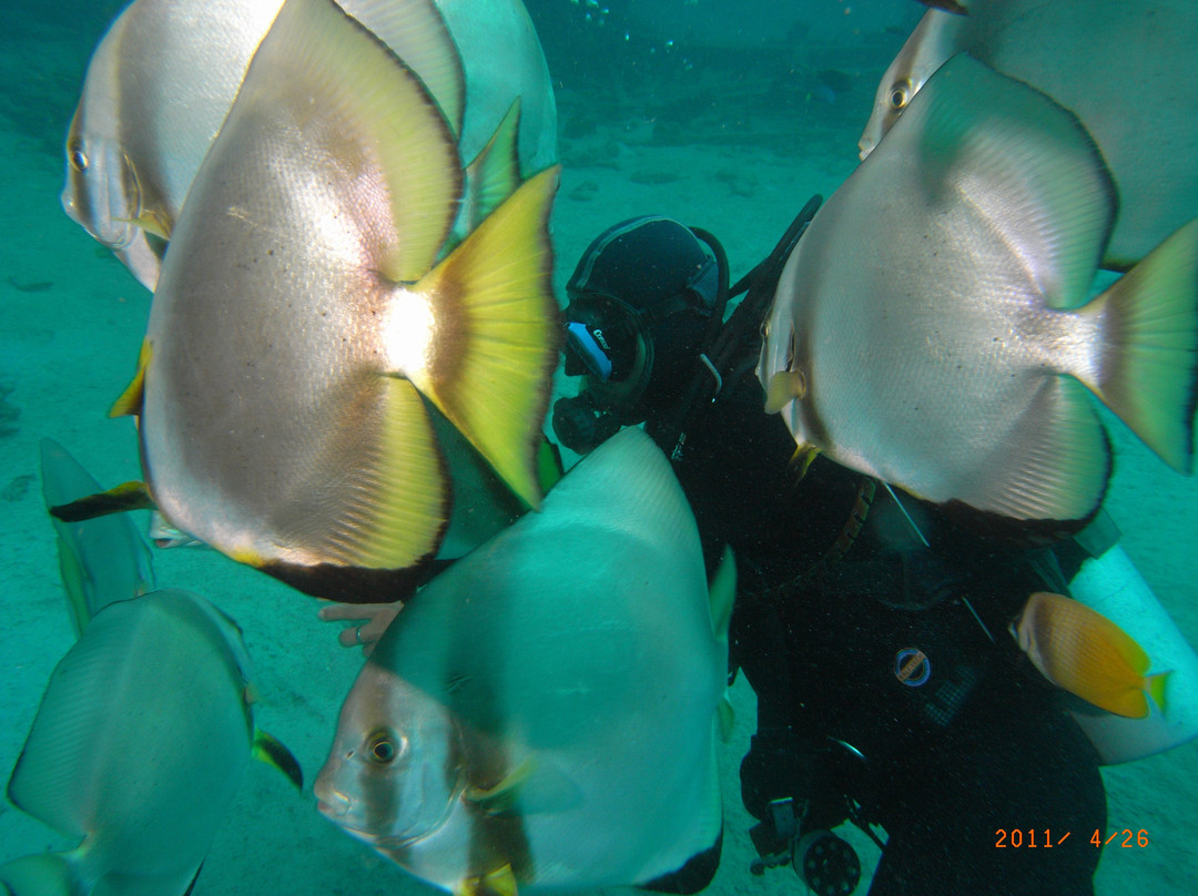 Diving Puerto Galera-葡多咖蕾拉必去景点