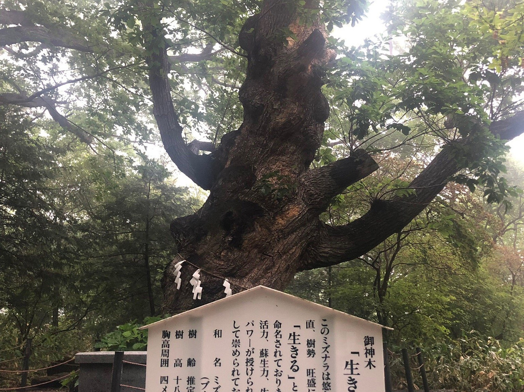 Nasu Yuzen Shrine景点图片