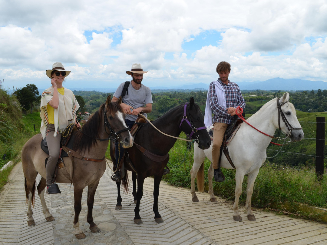Steel Horse Colombia-Filandia必去景点