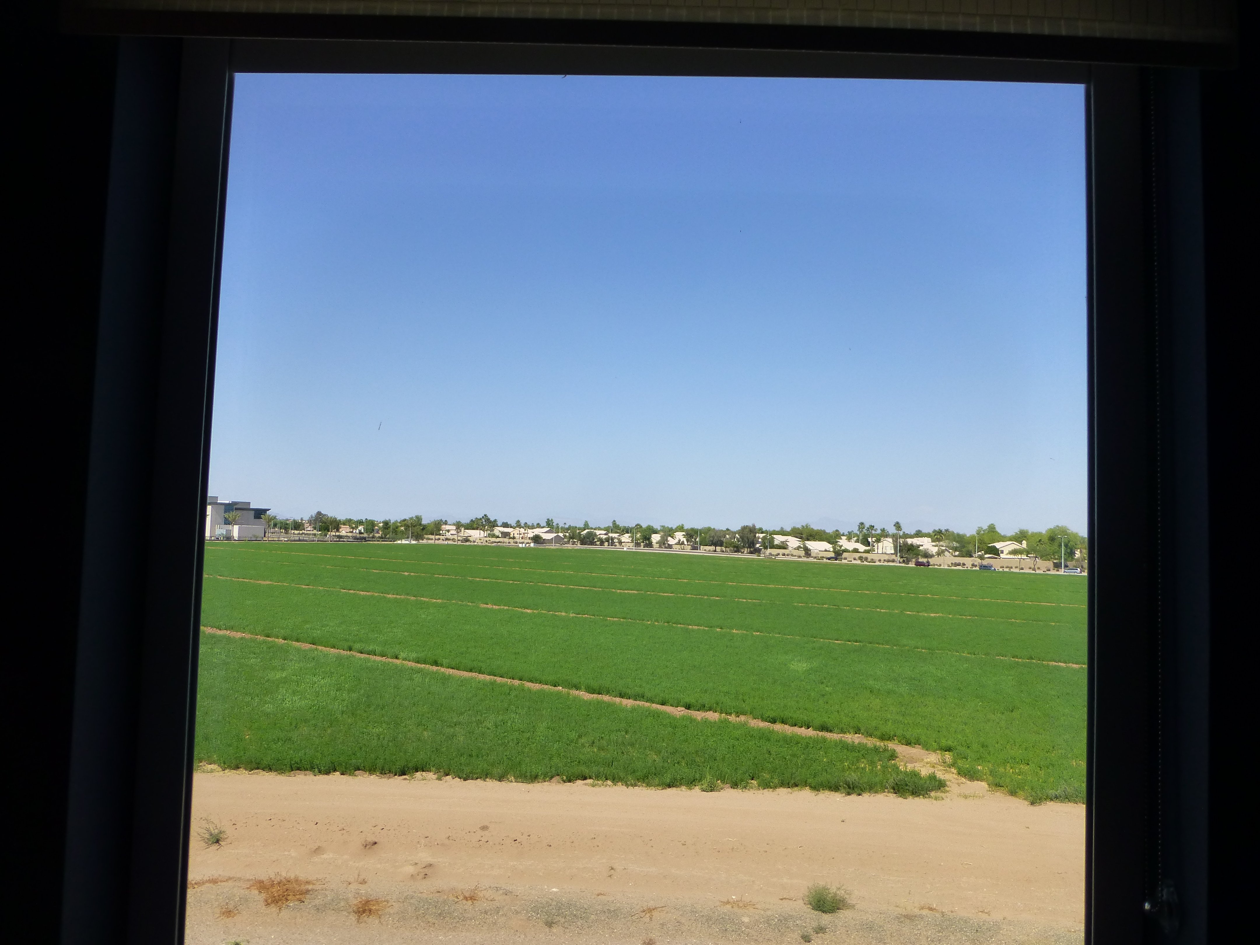 Home2 Suites By Hilton Phoenix Chandler-酒店景观