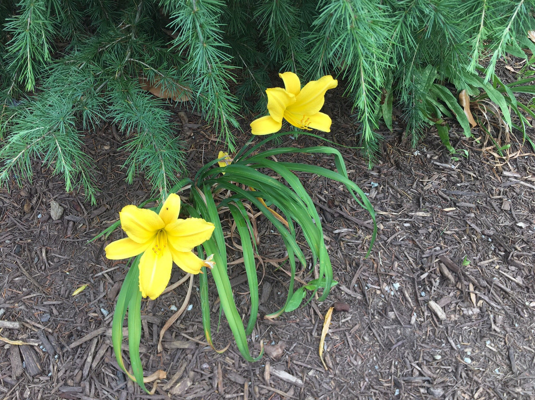Abernathy Greenway Park-桑迪斯普林斯必去景点