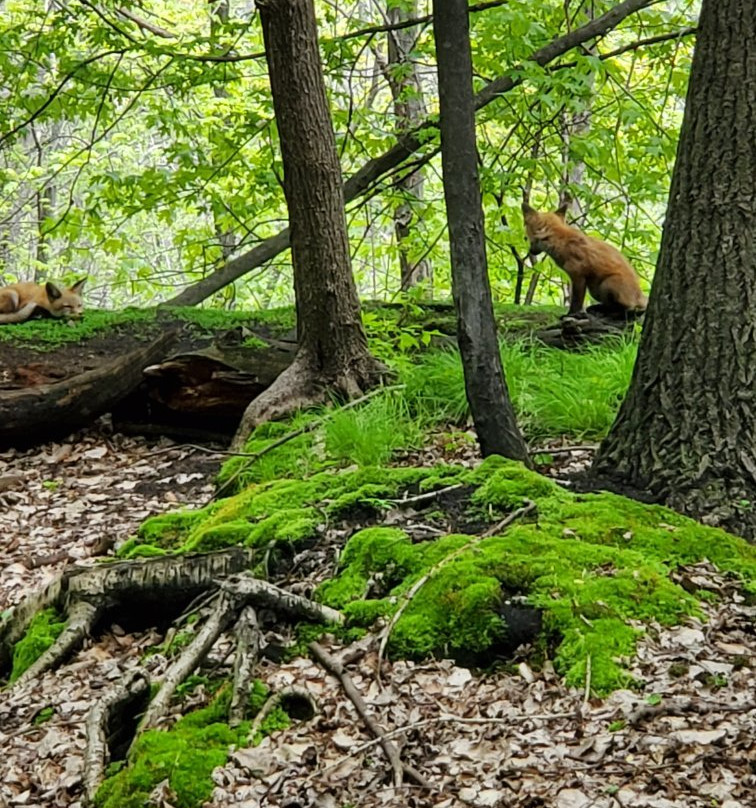 Heckrodt Wetland Reserve-Menasha必去景点