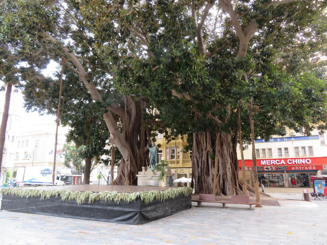 Plaza de San Francisco景点图片
