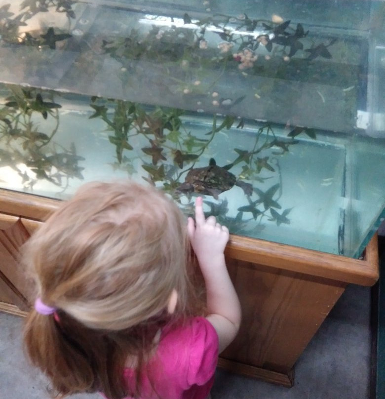 Scales and Tails Utah-西瓦利城必去景点