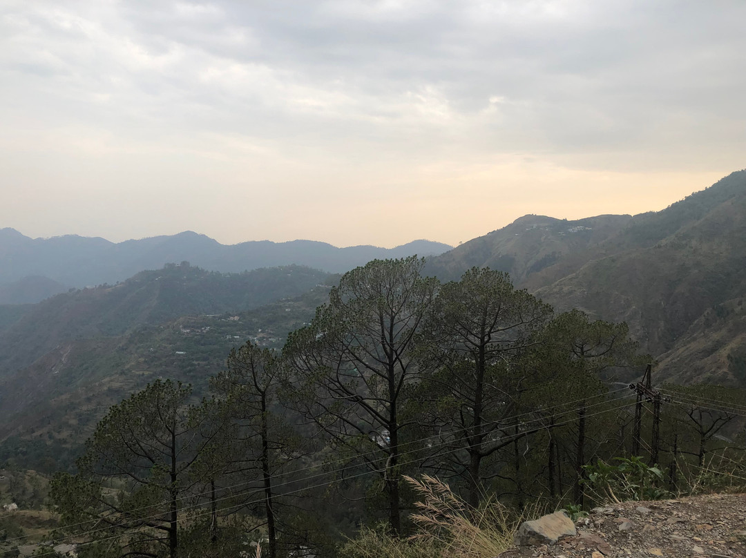 The Nature Walk主图