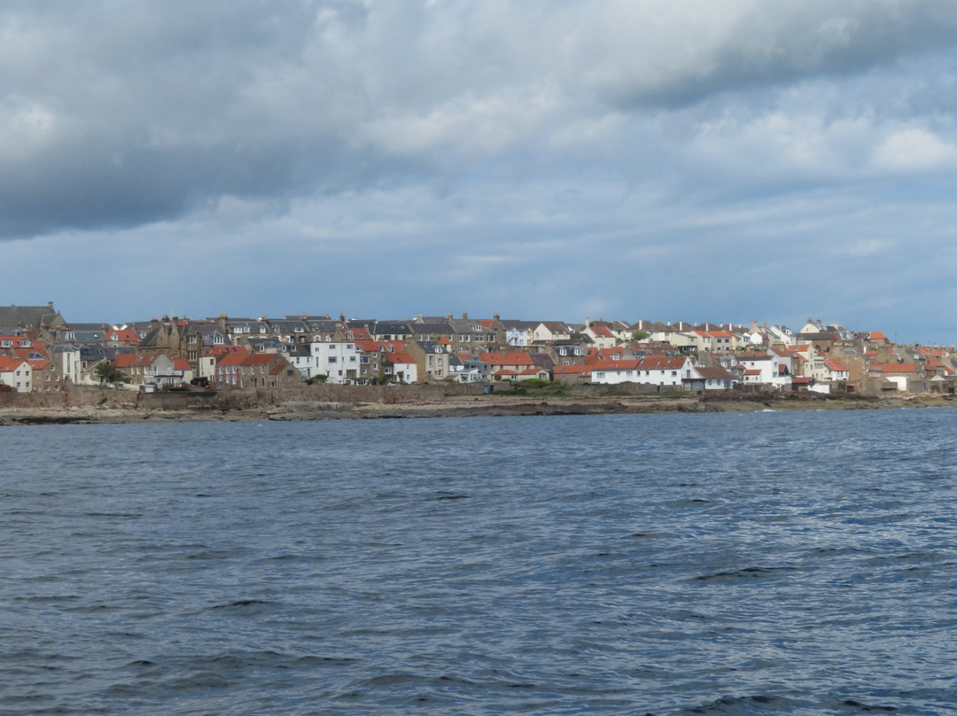 Anstruther Harbour景点图片