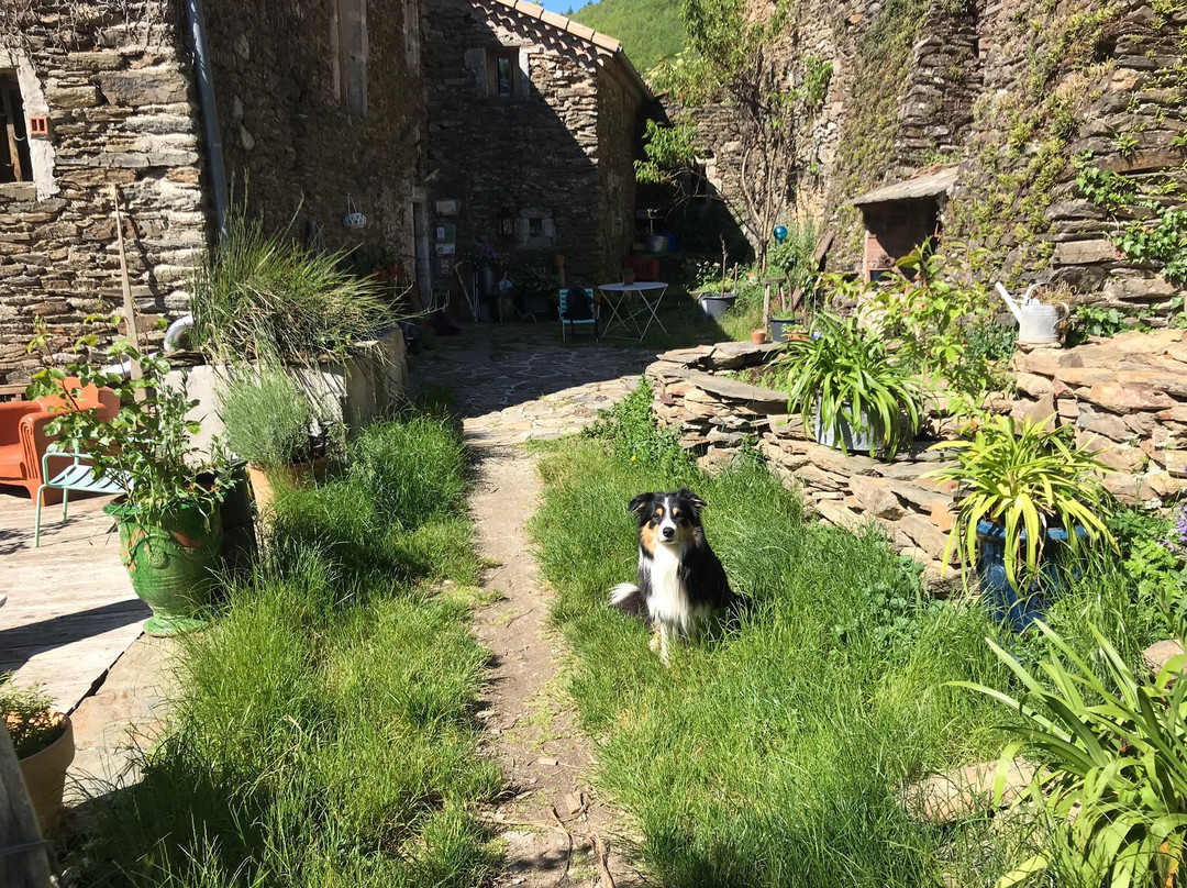 La Bastide de Trémiéjols主图