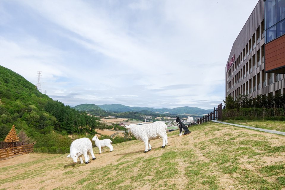 Ramada Hotel & Suites Gangwon Pyeongchang主图