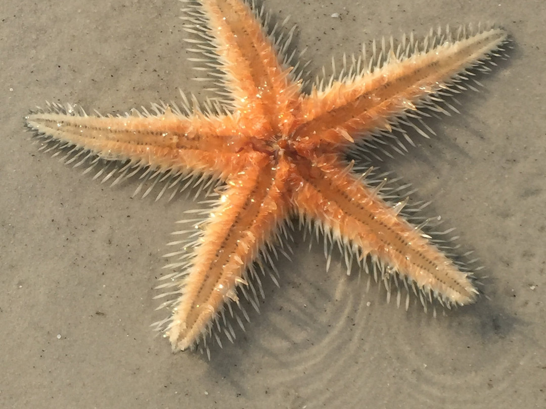 月光度假酒店主图