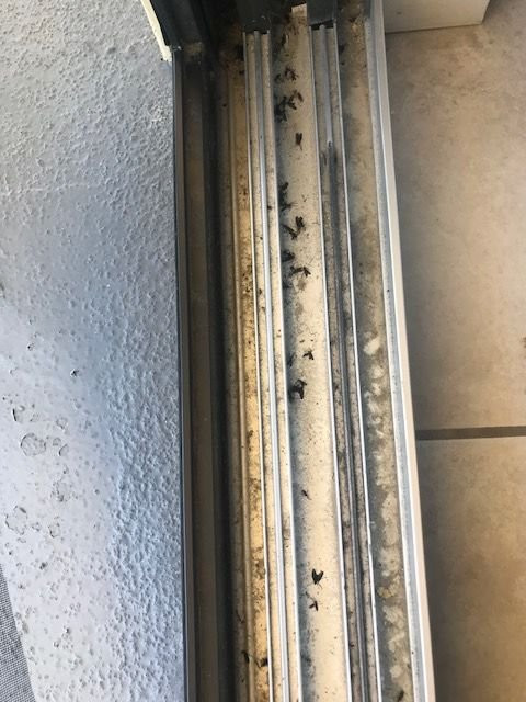 Tropical Suites Daytona Beach主图